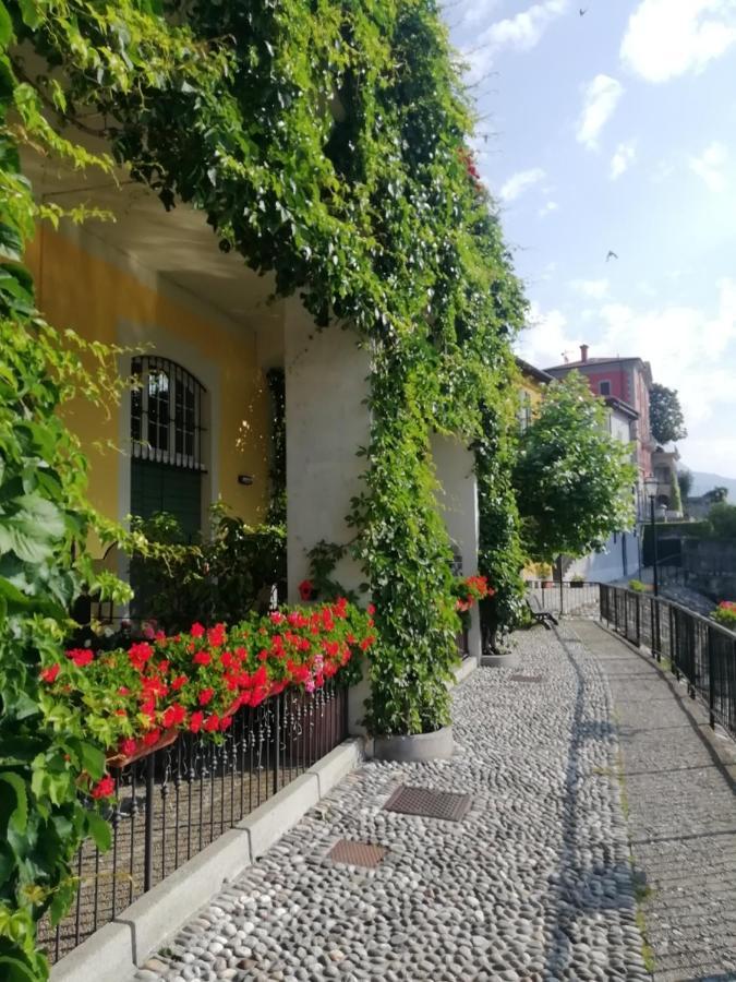 Viewtiful Homestay Stazzona Exterior photo