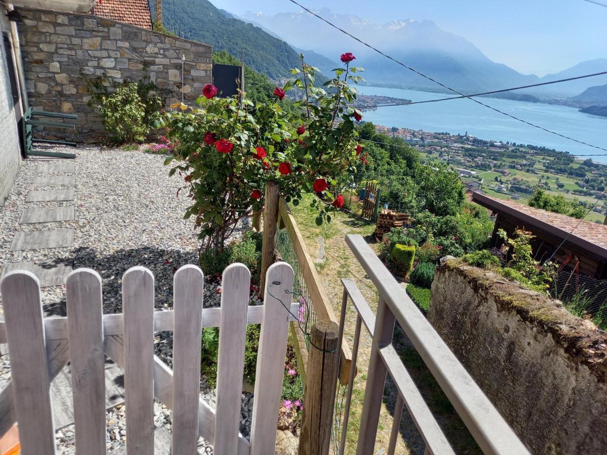 Viewtiful Homestay Stazzona Exterior photo